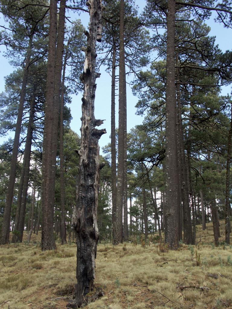 100214_Paso_de_Cortes 071.JPG